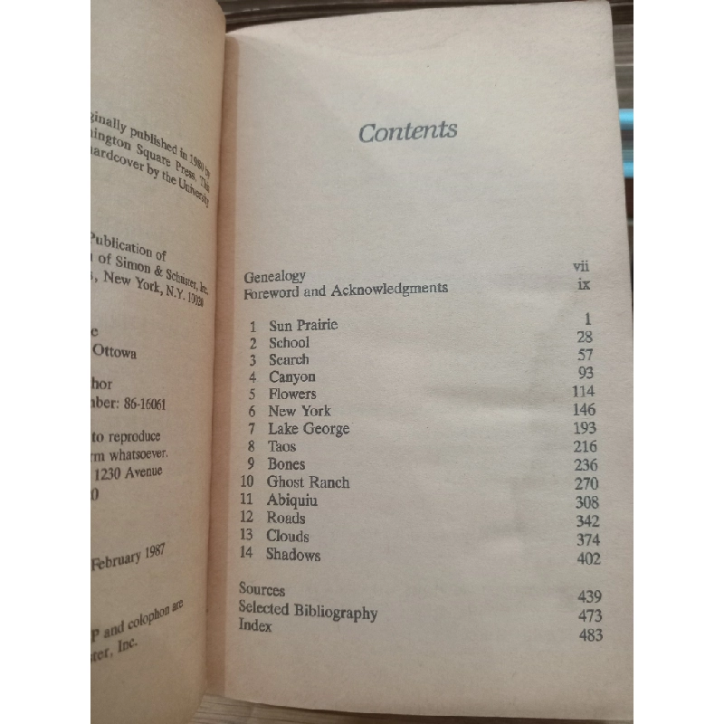 Portrait of an artist: A biography of Georgia O'Keeffe - Laurie Lisle 527604