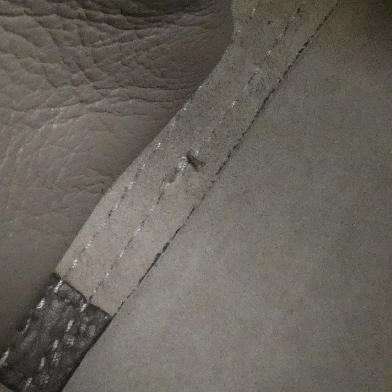 Túi đeo vai Maxi Zip Anya Hindmarch 610163