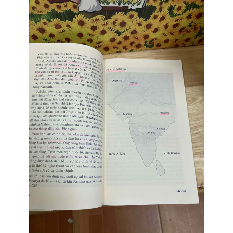 5000 Năm Lịch Sử & Văn Hóa Ấn Độ - Anjana Mothar Chandra 1025617