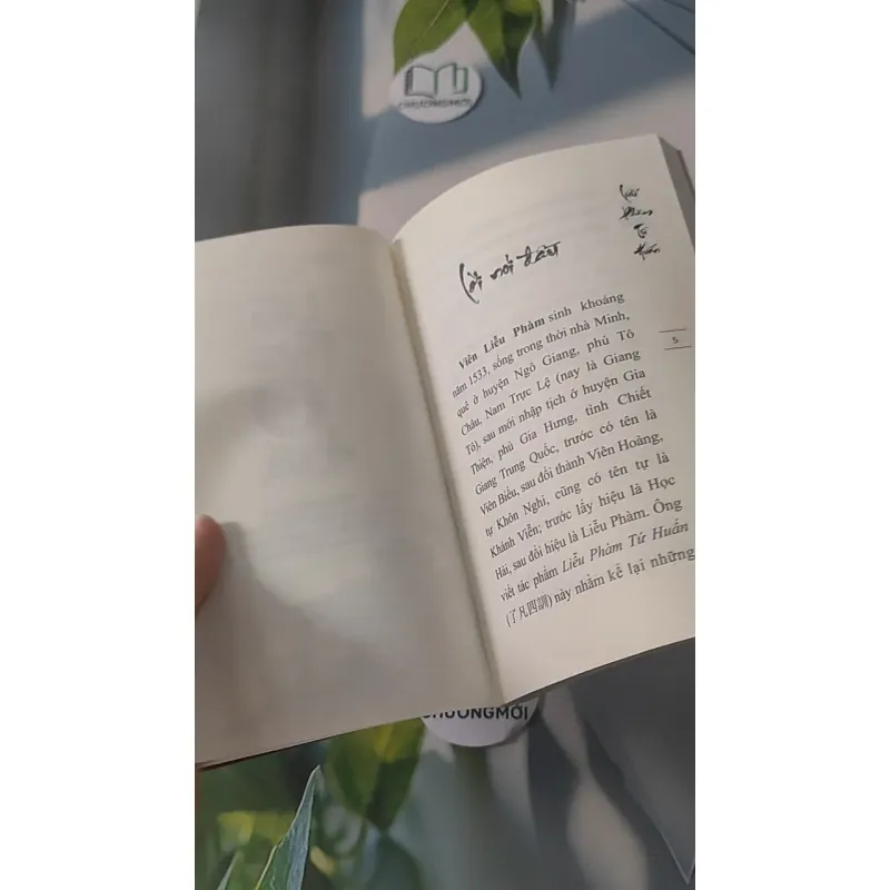 Liễu Phàm Tứ Huấn - Viên Liễu Phàm 928498