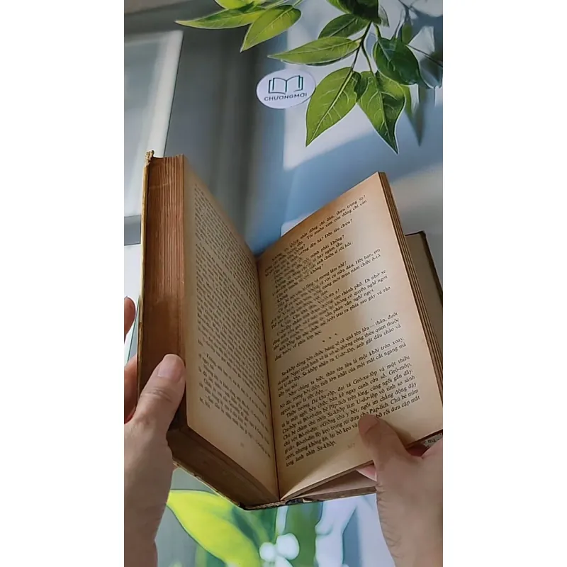 Người Thay Thế Chưa Tới (1986) - Nikolai Kambulev 607724