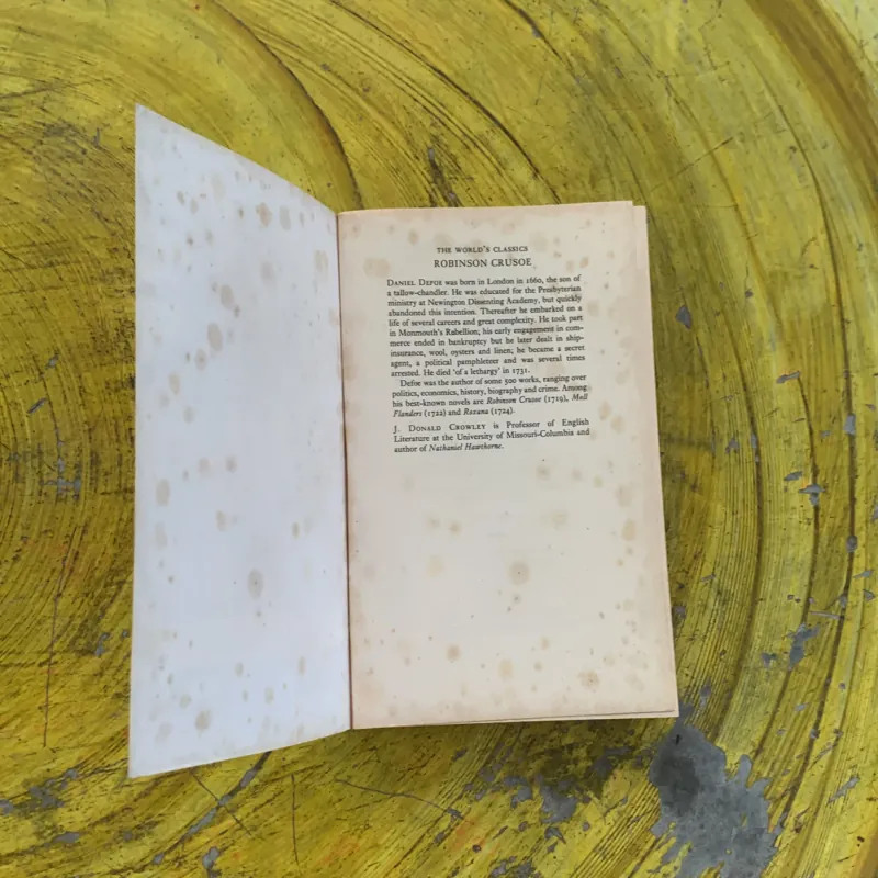 DANIEL DEFOE - ROBINSON CRUSOE  1031234