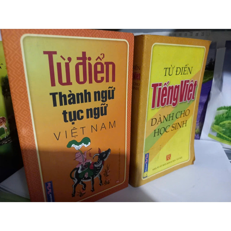 từ điển học tiếng việt 525286