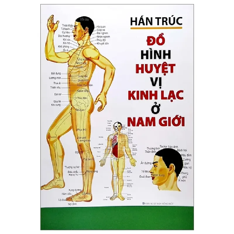 Đồ Hình Huyệt Vị Kinh Lạc Ở Nam Giới - Hán Trúc 402274