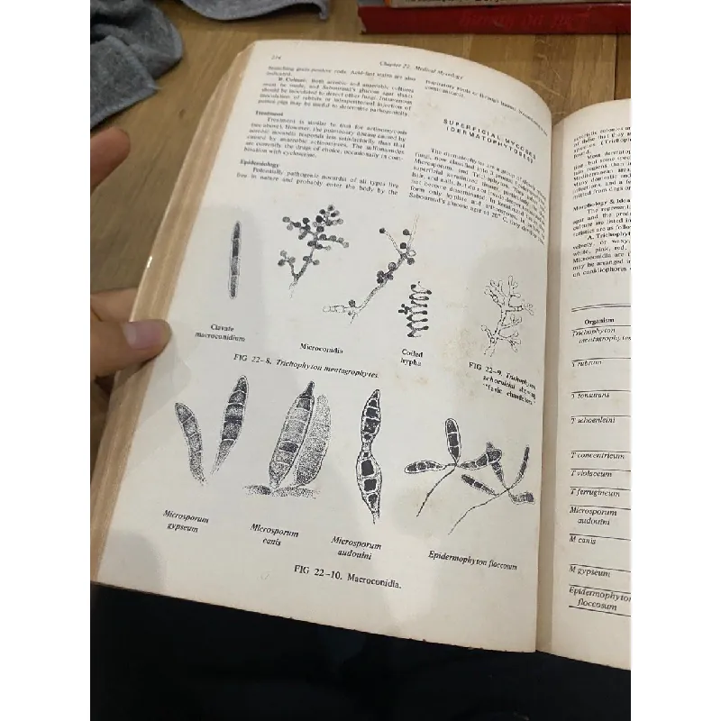 Review of Medical Microbiology - Earnest Jawetz 560756