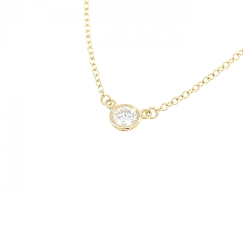 Dây chuyền Tiffany By The Yard - Hàng hiệu Authentic 842895