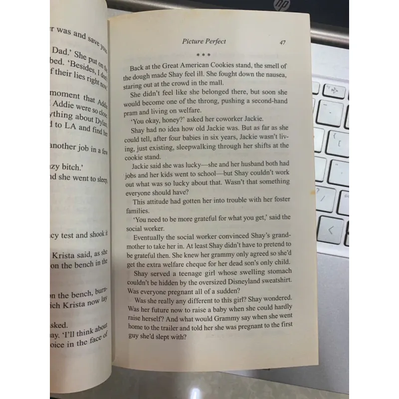 PICTURE PERFECT (BỨC TRANH HOÀN HẢO) - KATE FORSTER 697589