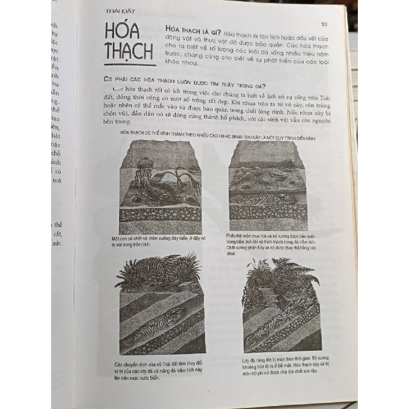 Bách khoa khoa học trẻ - Thục Anh (biên dịch) 1024591