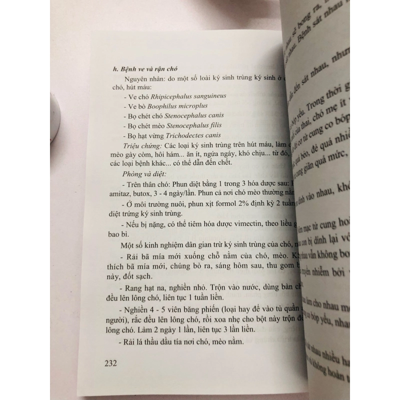 NUÔI CHÓ MÈO VÀ CHIM CẢNH - 300 trang, nxb: 2023 360147