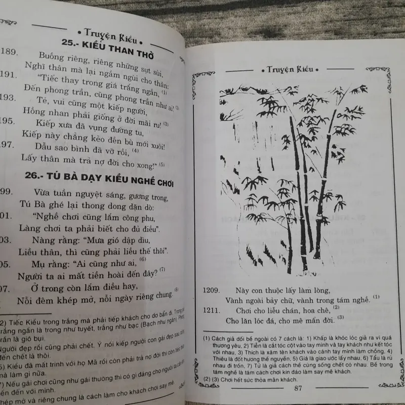 Truyện KIỀU. Nguyễn Du. Vũ Hữu Tiềm bình giải và minh họa 737854