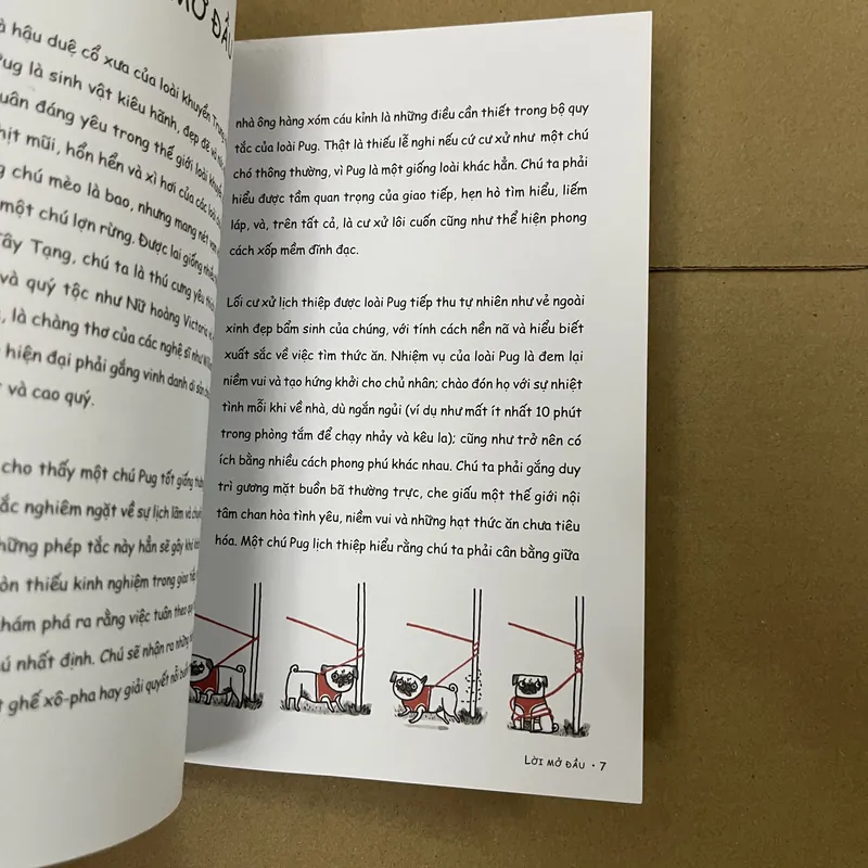 cẩm nang thanh lịch của pug mặt phị 569216