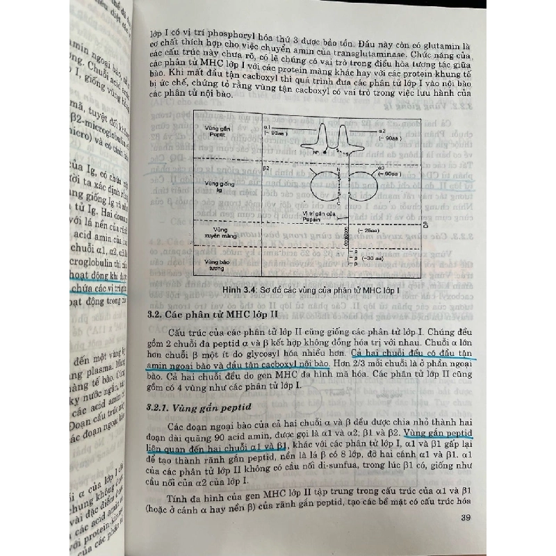 Sinh lý bệnh và miễn dịch - GS.TS Văn Đình Hoa 738450