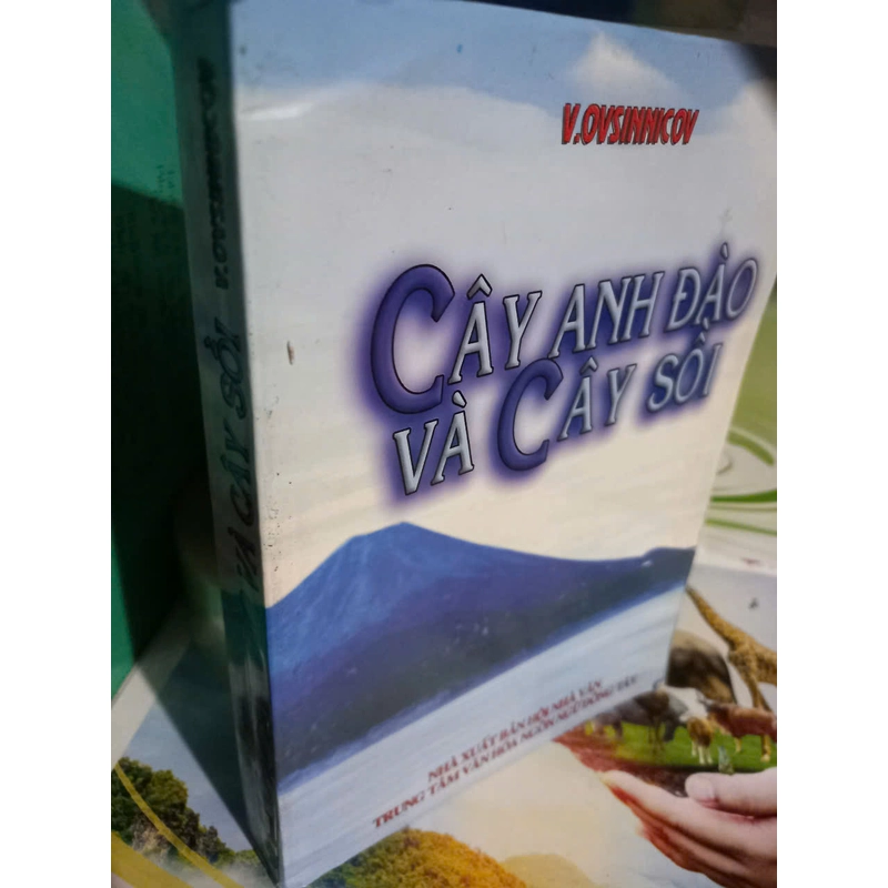 cây anh đào và cây sồi 474039