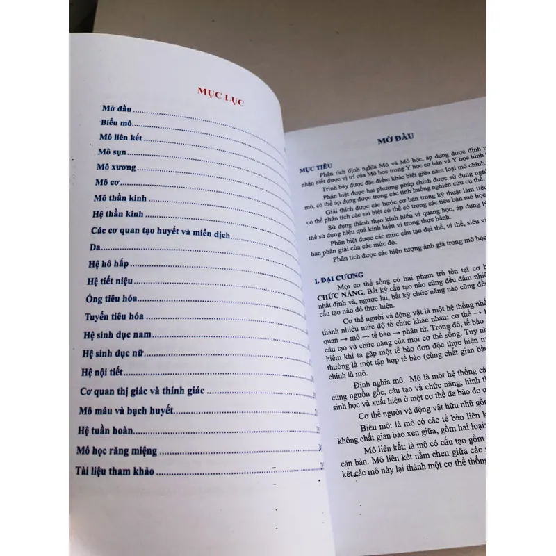 MÔ HỌC  2020 701980