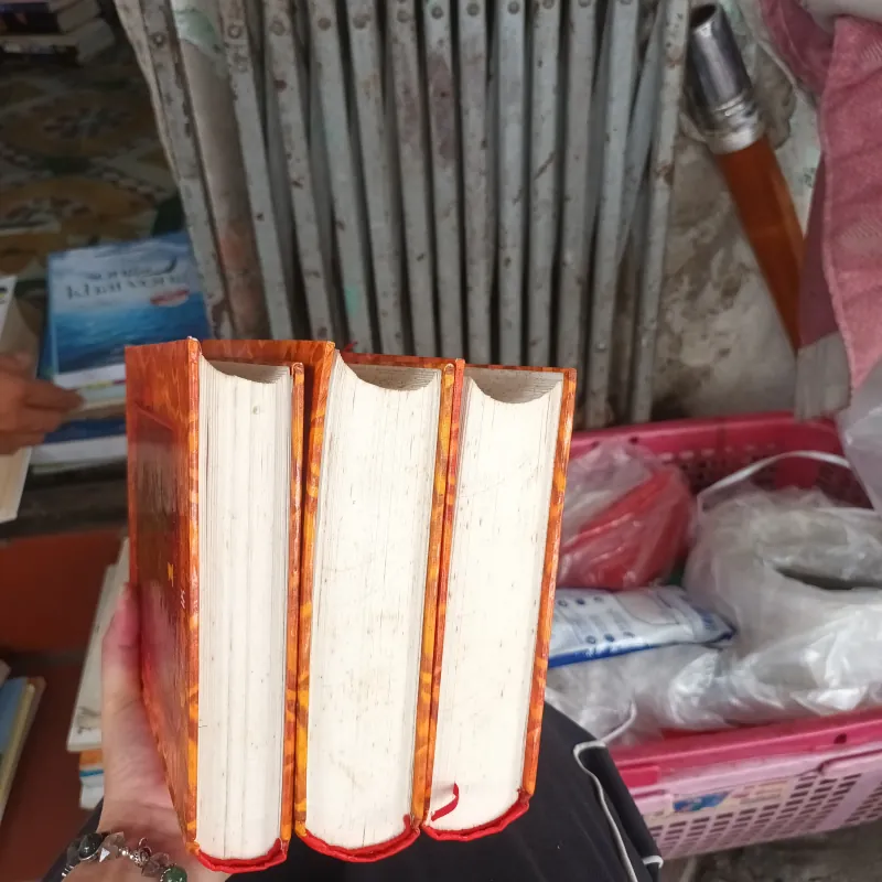 Đại Việt Sử Ký Toàn Thư Bộ 3 Tập 1025660