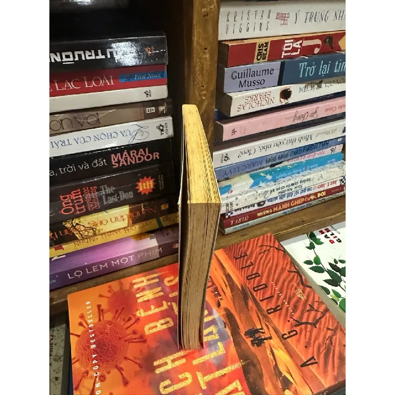 Ethan Frome - Edith Wharton ( Collins ) 590124