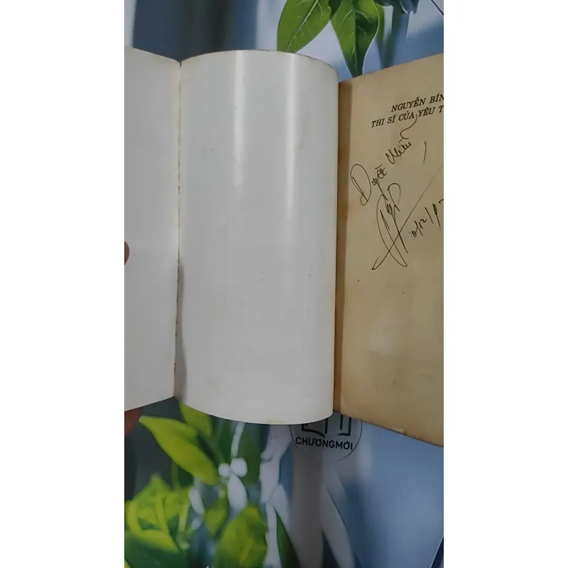 [XƯA] Nguyễn Bính - Thi Sỹ Của Yêu Thương (1992) - Hoài Việt 798518