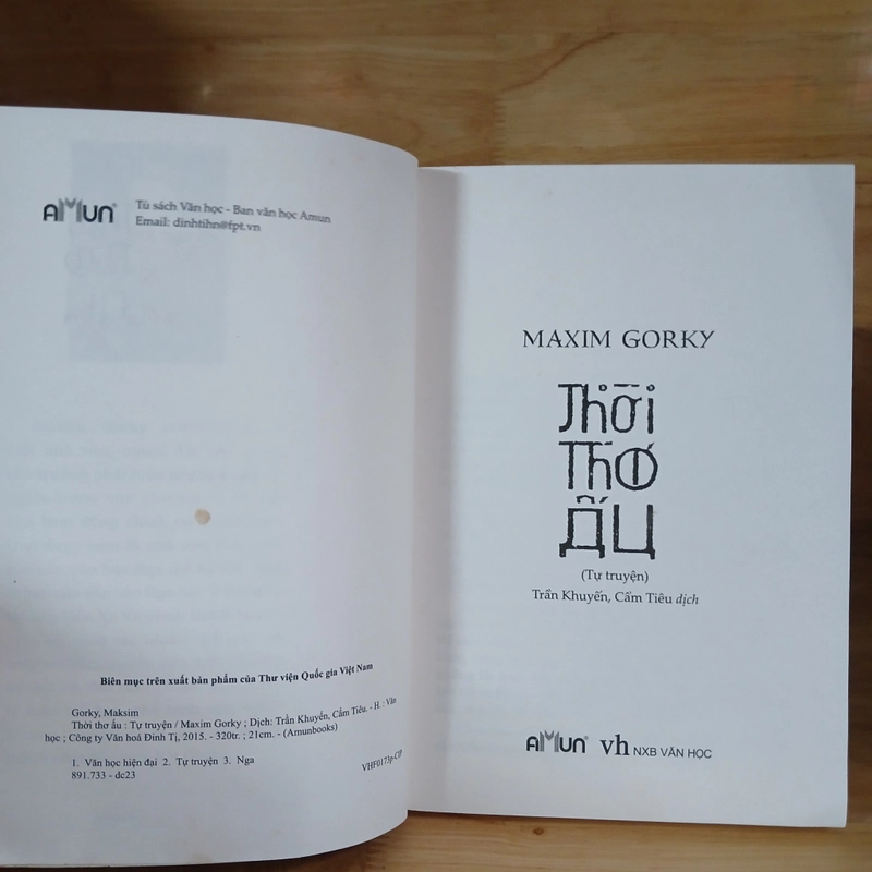Thời Thơ Ấu - Maxim Gorky 398371