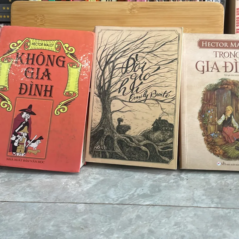 Không Gia Đình ,Trong Gia Đình , Đồi gió Hú 605054