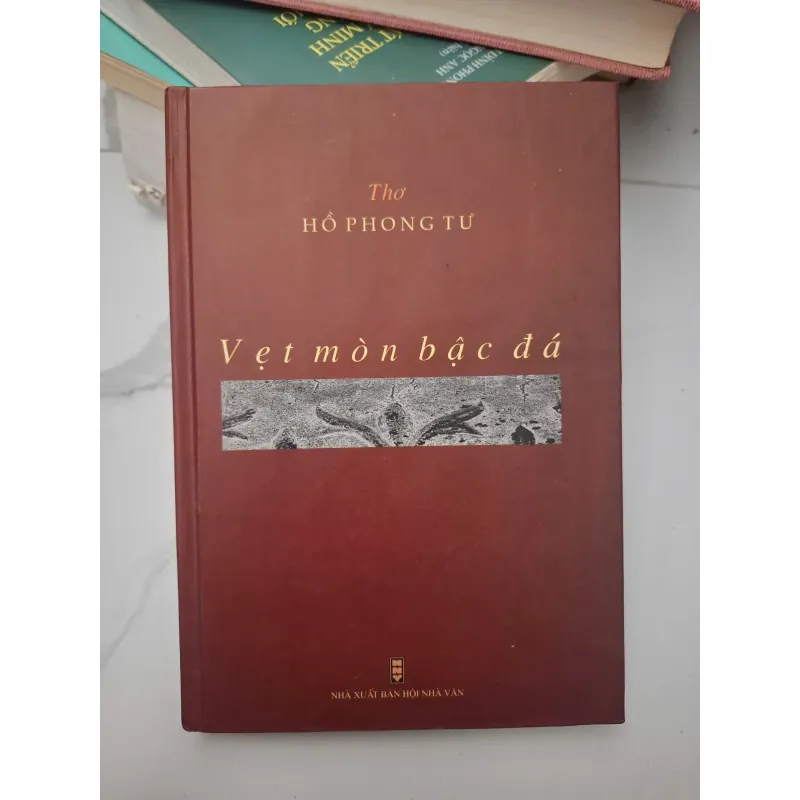 Vẹt mòn bậc đá - Hồ Phong Tư - Thơ 696440