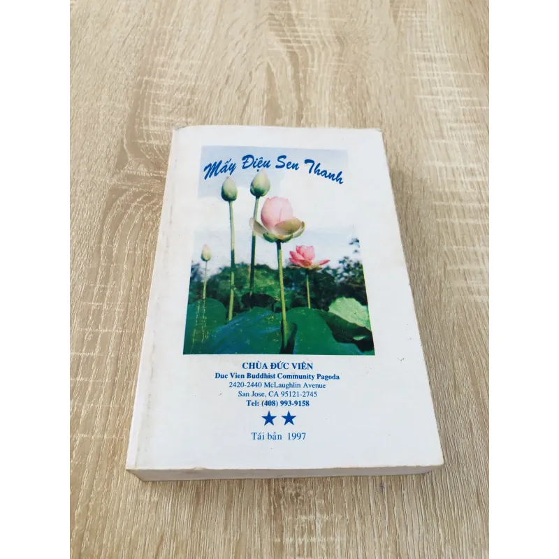 MẤY ĐIỆU SEN THANH  956995