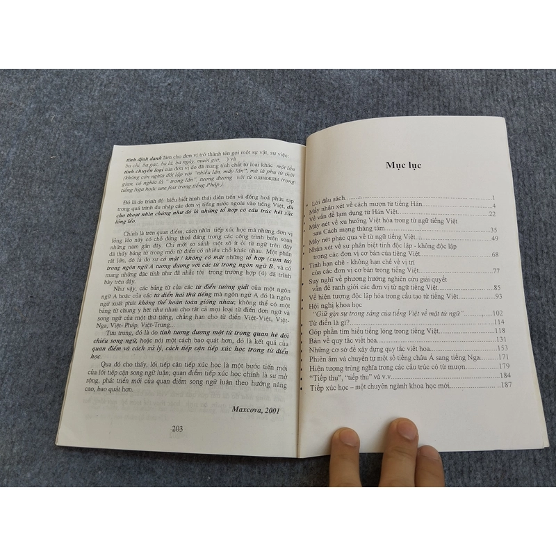 MẤY VẤN ĐỀ TỪ NGỮ VÀ CHỮ VIẾT 539828