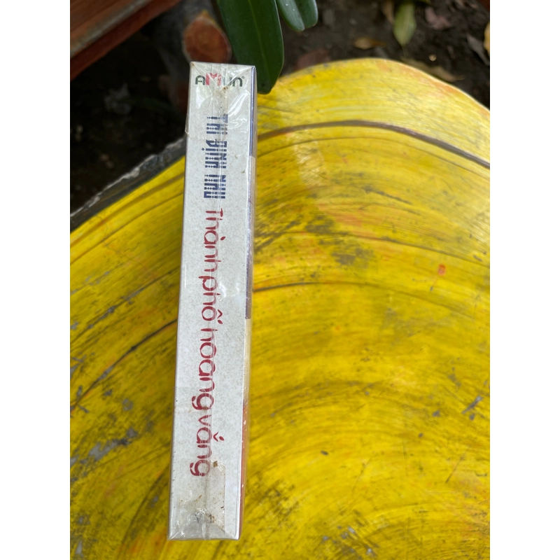THÀNH PHỐ HOANG VẮNG- THI ĐỊNH NHU 478876