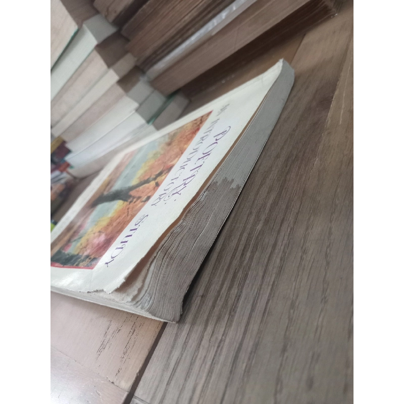 Poetry: An introductory study - Surapeepan Chatraporn 1023633