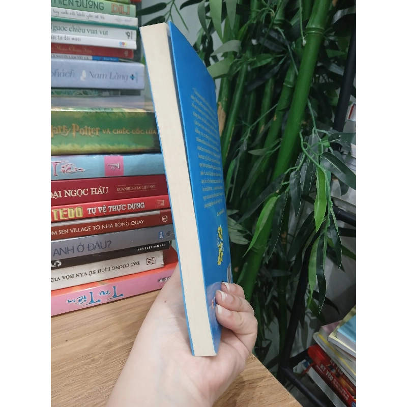 Tâm Lý Lâm Sàng Trẻ Em Việt Nam - BS.Nguyễn Khắc Viện 749317