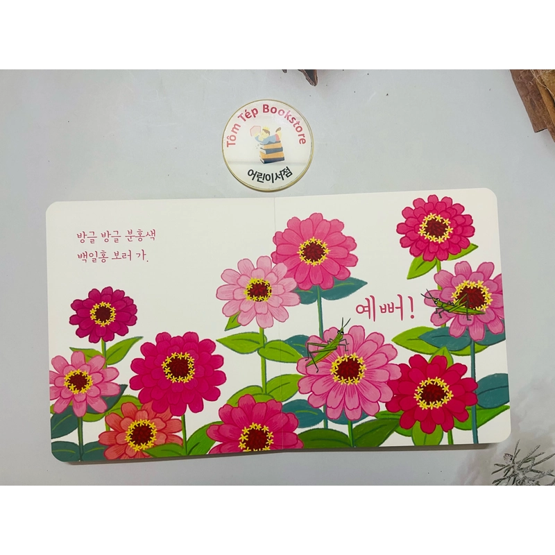 Boardbook ít chữ Tiếng Hàn cho bé- B4 496799