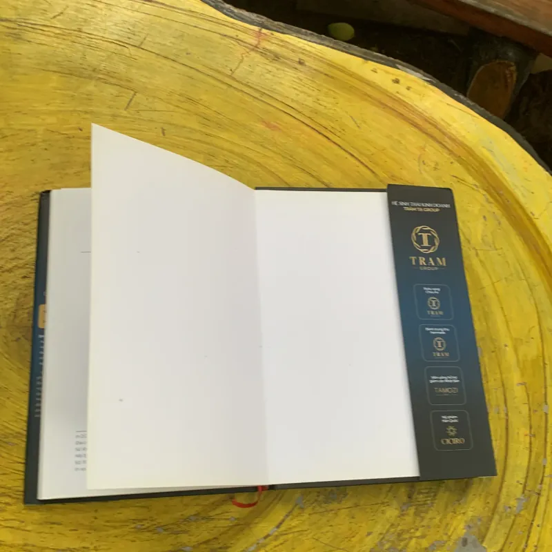 GIẢI MÃ KINH DOANH HỆ THỐNG PHÂN PHỐI GIỚI THIỆU PHƯƠNG PHÁP RABON 747312