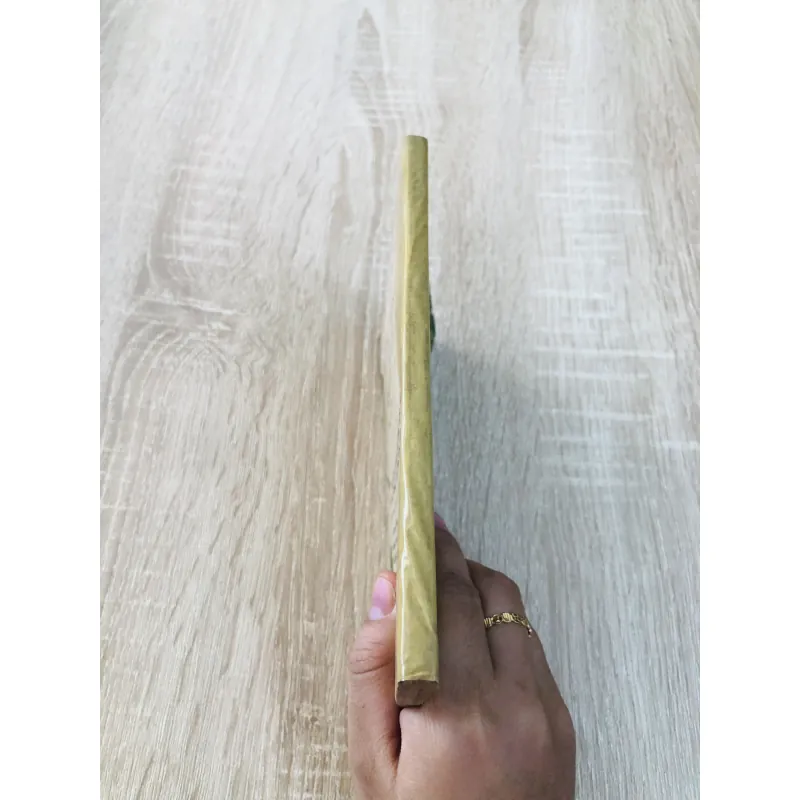 ĐỒNG BẰNG SÔNG CỬU LONG  960159