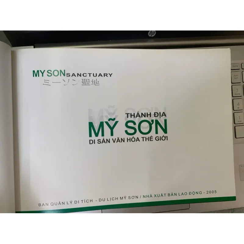 THÁNH ĐỊA MỸ SƠN - NGUYỄN VĂN BÌNH (CHỦ BIÊN) 751395