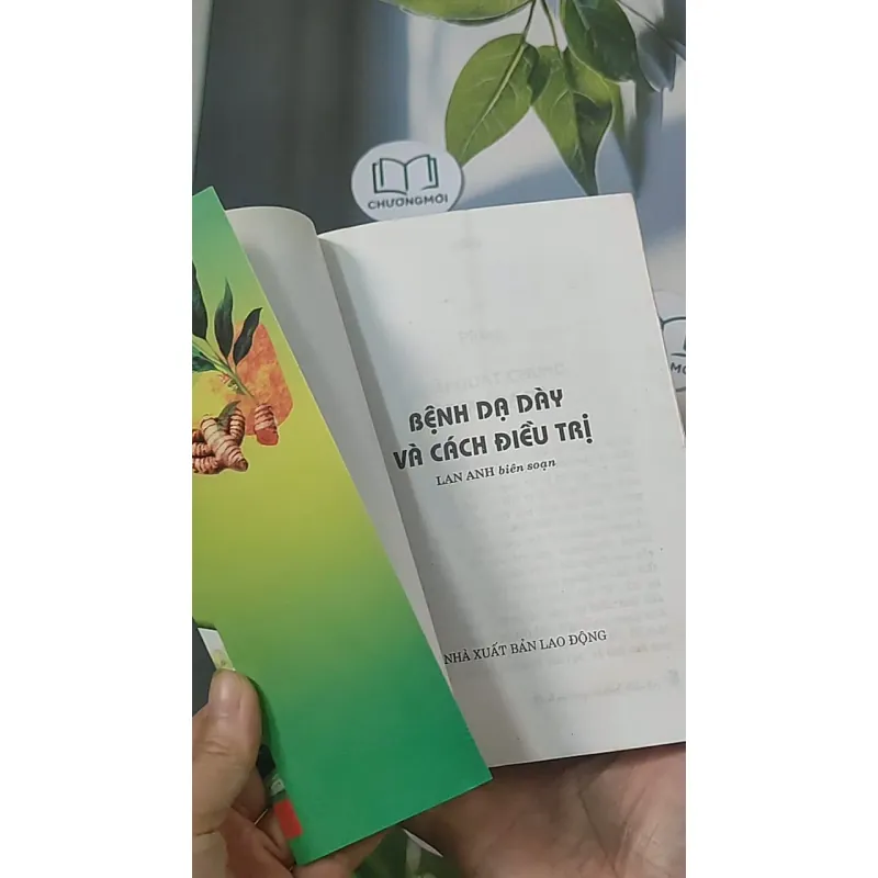 Bệnh dạ dày và cách điều trị - Lan Anh 688456