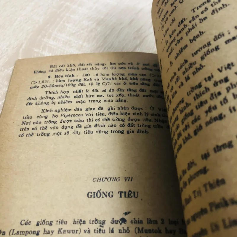 KỸ THUẬT TRỒNG TIÊU 956884