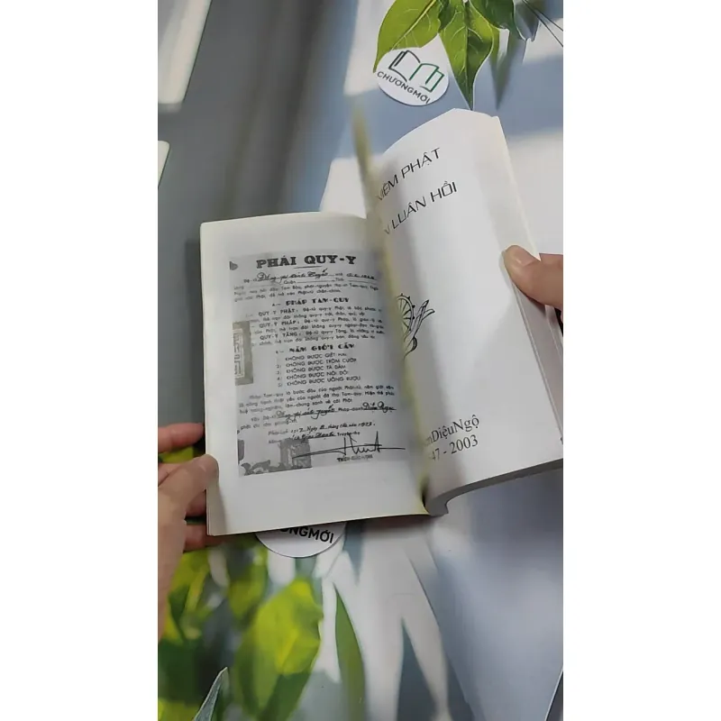 Kinh Nghiệm Niệm Phật Và Những Chuyện Luân Hồi - Cư Sĩ Diệu Âm - Diệu Ngộ 776139