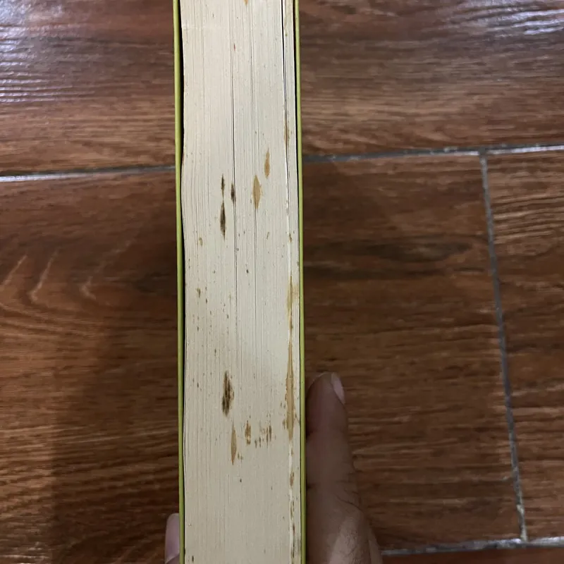Những đứa con rải rác trên đường - Hồ Anh Thái 591842