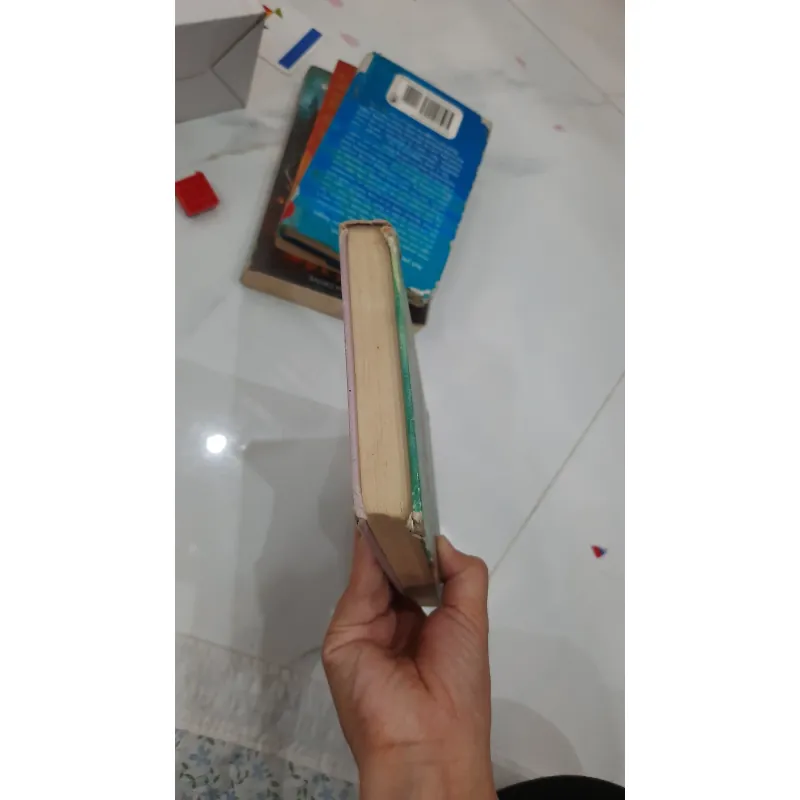 The bobbsey twins and the big rivers mystery 930936