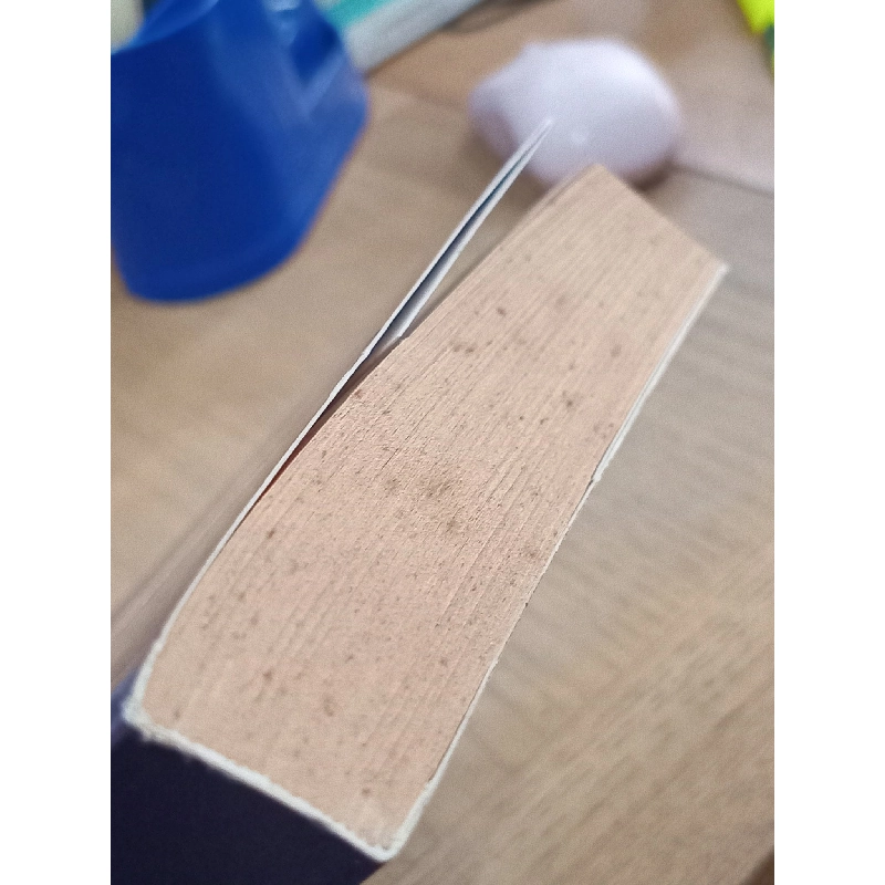 Nghỉ hè với Quỷ tập truyện ngắn - Nhiều tác giả 703427