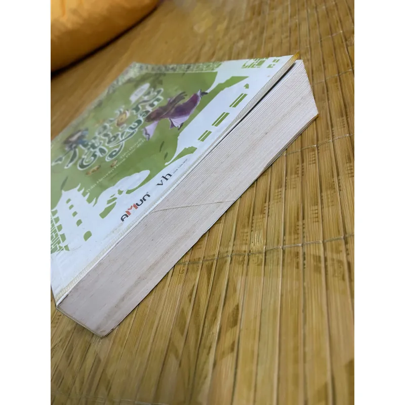 Thâu trọn gió xuân 1003695