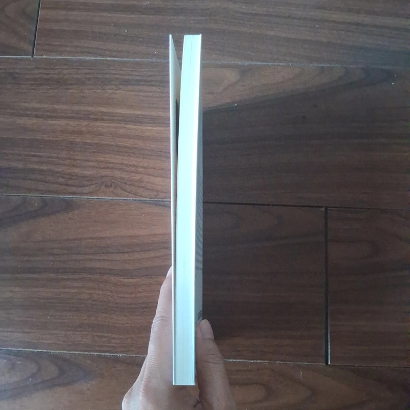 Những tản văn suýt bỏị quên của bọ Lập - Nguyễn Quang Lập 523189