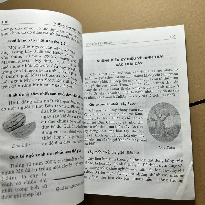 Những cái nhất trên thế giới 571691