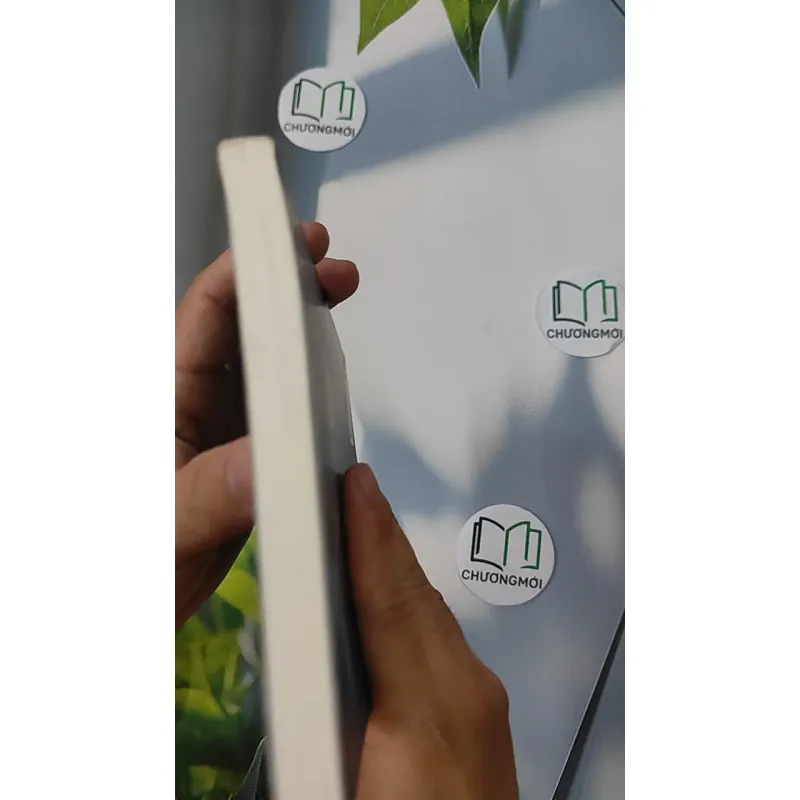 Huyền Ảo Trăng - Châu La Việt 798356