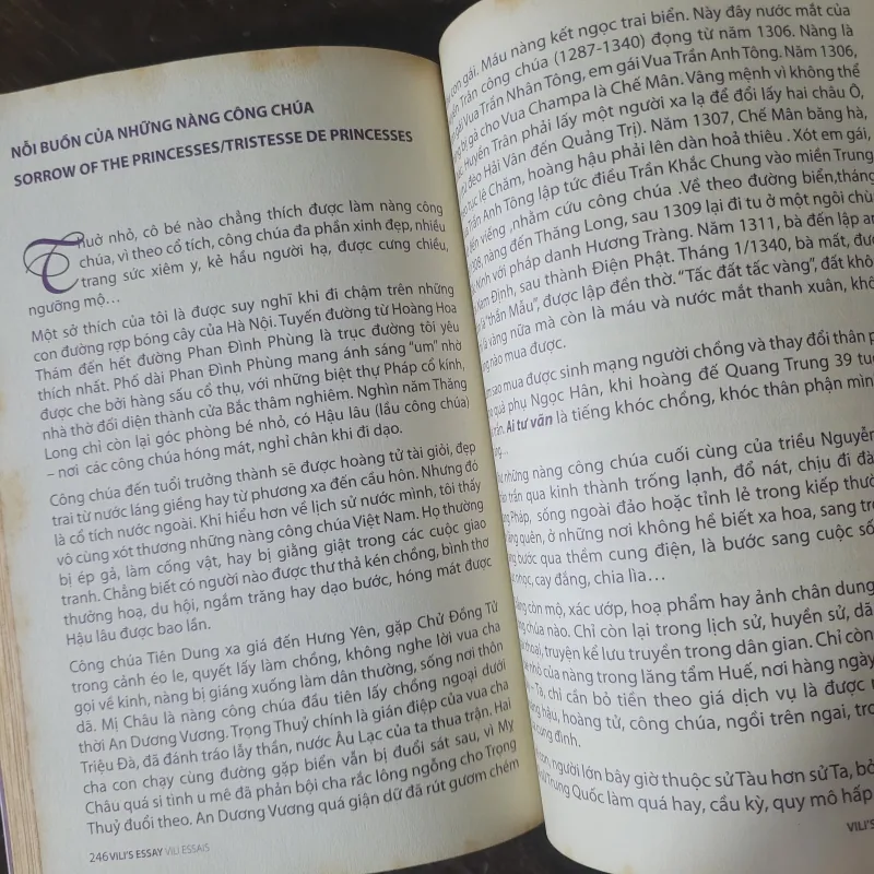 Vili tùy bút - Vi Thùy Linh 1003178