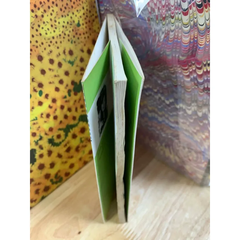 Bí Mật Giữa Tôi Và Thằn Lằn Đen - Lý Lan 927955