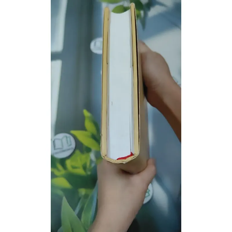 [MIỄN PHÍ BỌC SÁCH] Đinh Nho Hoàn - Thân Thế và Sự Nghiệp 990363