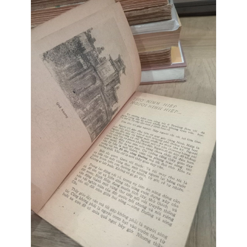 Quả chín trong vườn 783641