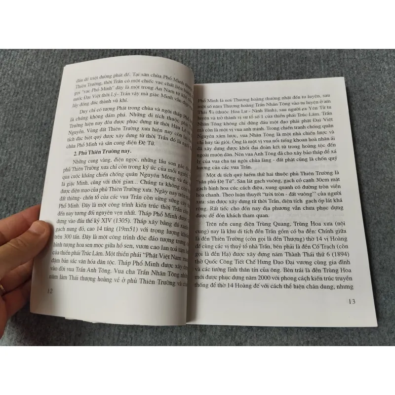 DI TÍCH LỊCH SỬ - VĂN HOÁ ĐỀN TRẦN - CHÙA THÁP TỈNH NAM ĐỊNH 717907