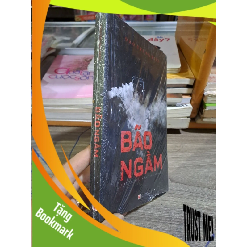 (TẶNG BOOKMARK) Bão ngầm Đào Trung Hiếu mới 90% RBK2303 939332