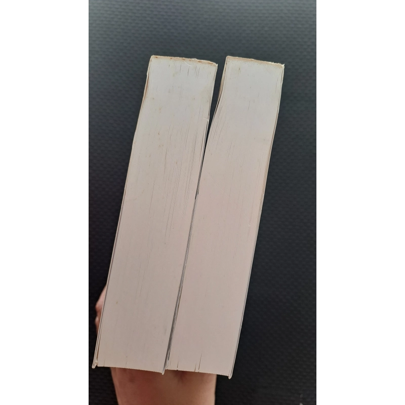 (Danh tác Việt Nam) Box Tuyển tập  Vũ Trọng Phụng (full 2 quyển) 496449
